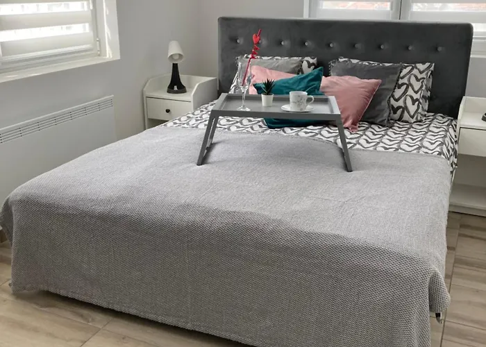 Loki 아파트 소코 반자